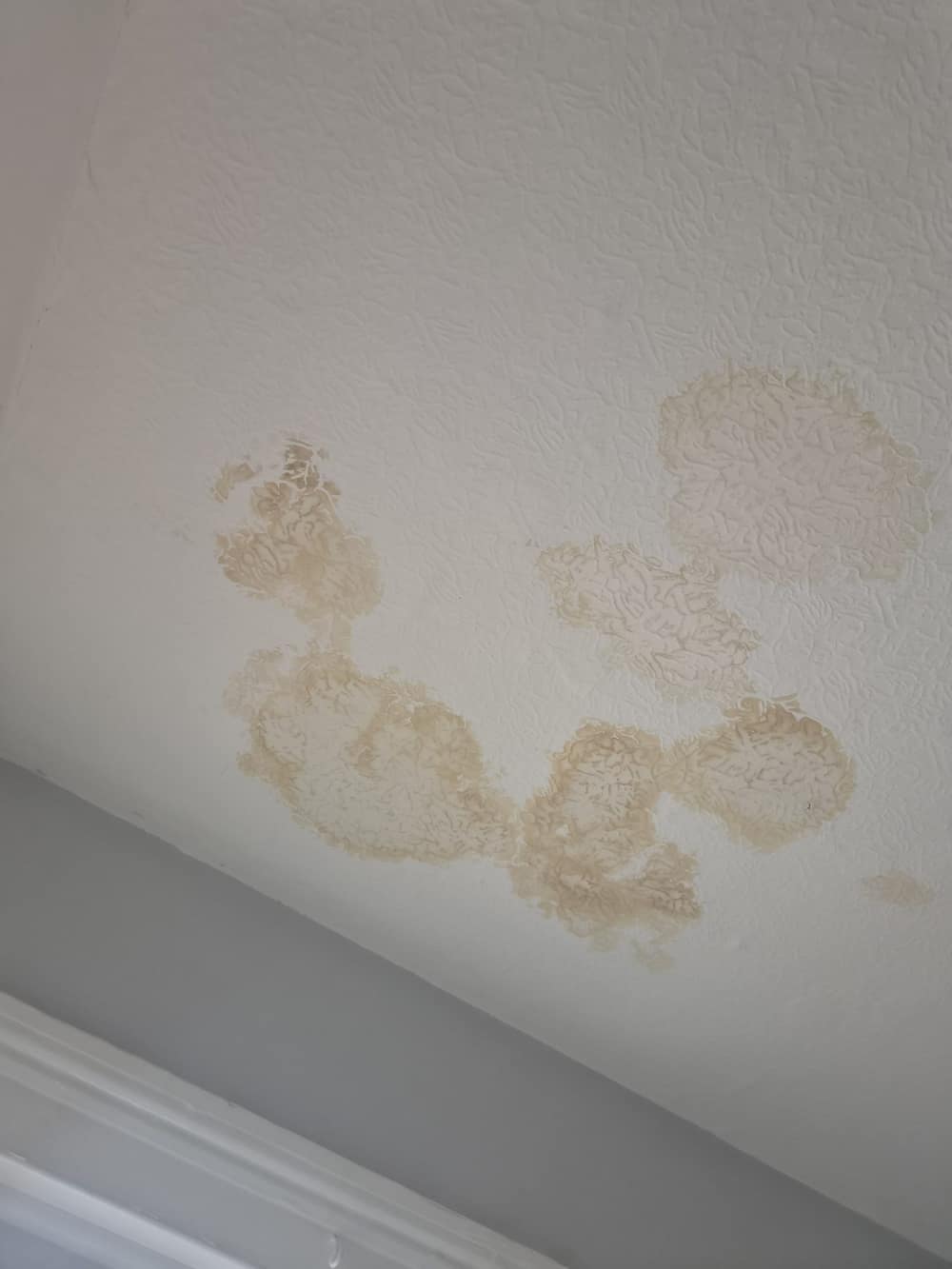 Bedroom 2 ceiling, Example A